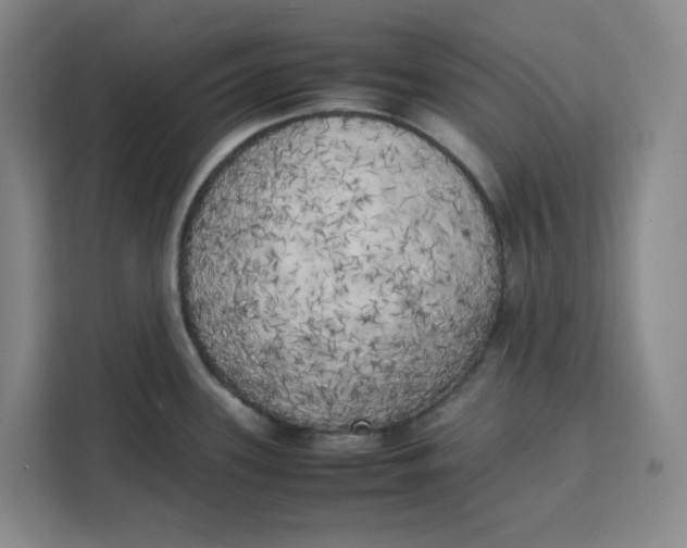 X0000111151339200907141334