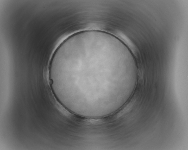 X0000111151340200907141334