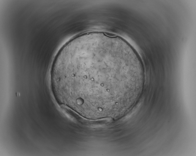 X0000111151341200907141334