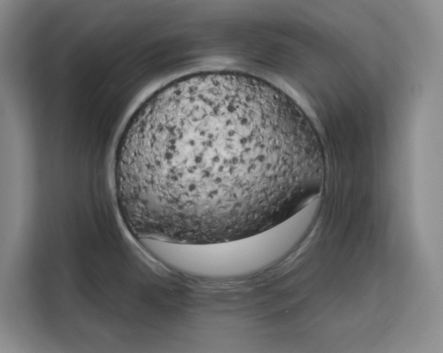 X0000111151342200907141334