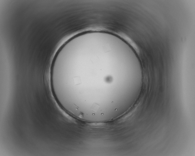 X0000111151343200907141334