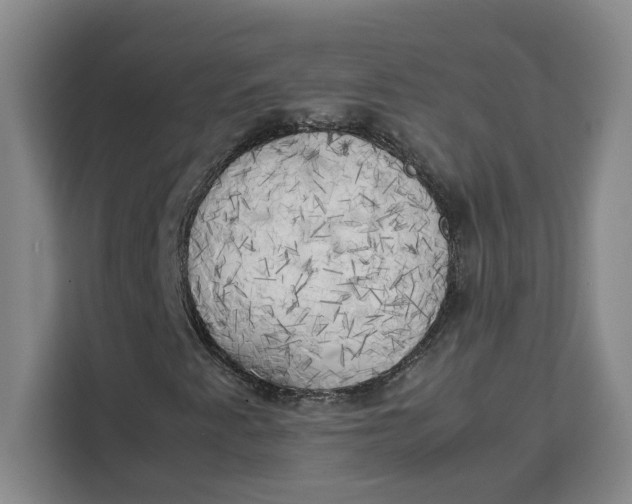 X0000111151345200907141333