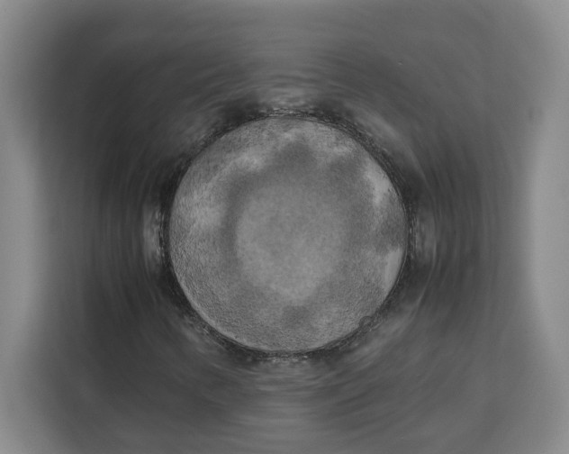 X0000111151346200907141333