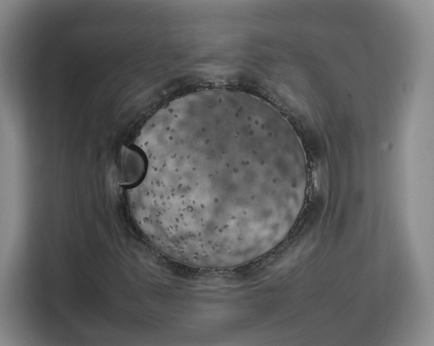 X0000111151347200907141333