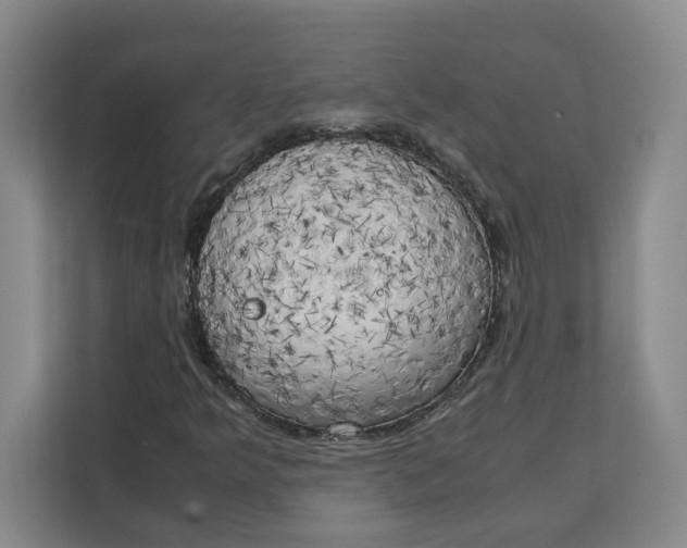 X0000111151349200907141333