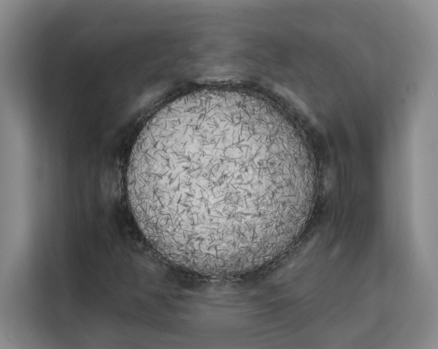 X0000111151350200907141333