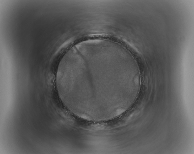 X0000111151351200907141333