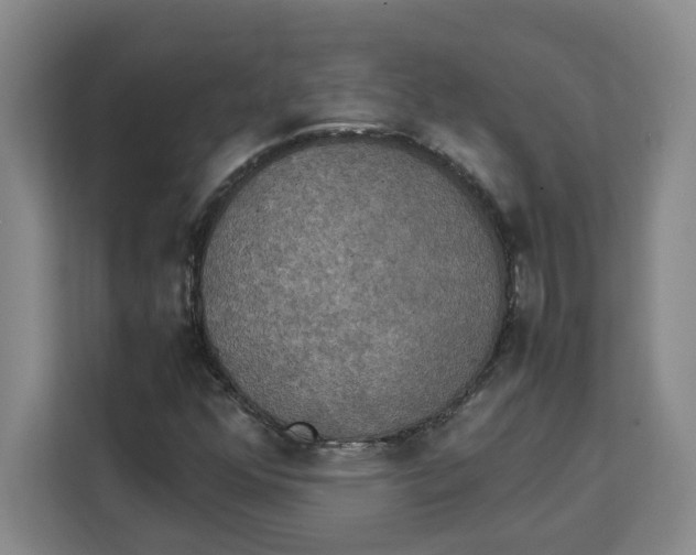 X0000111151352200907141333