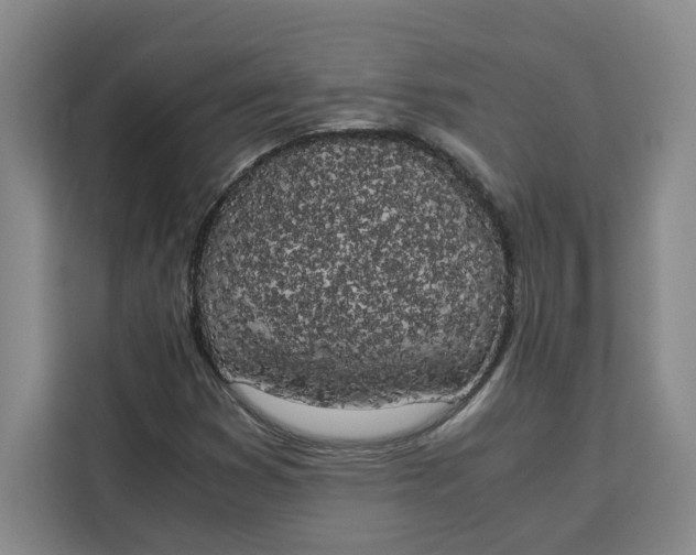 X0000111151353200907141333