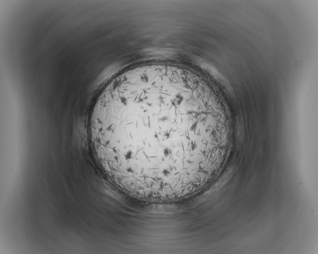 X0000111151354200907141333