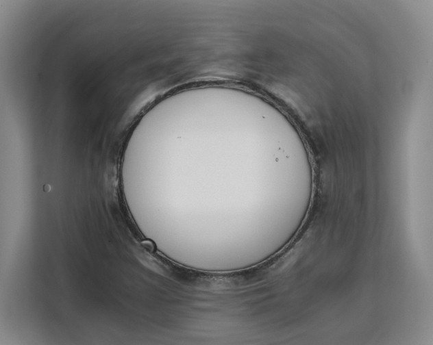 X0000111151355200907141333