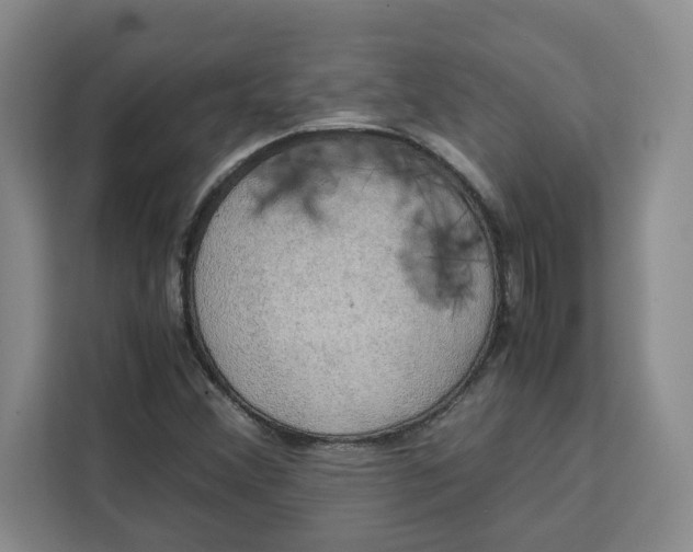 X0000111151356200907141333