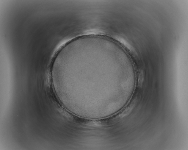 X0000111151358200907141333
