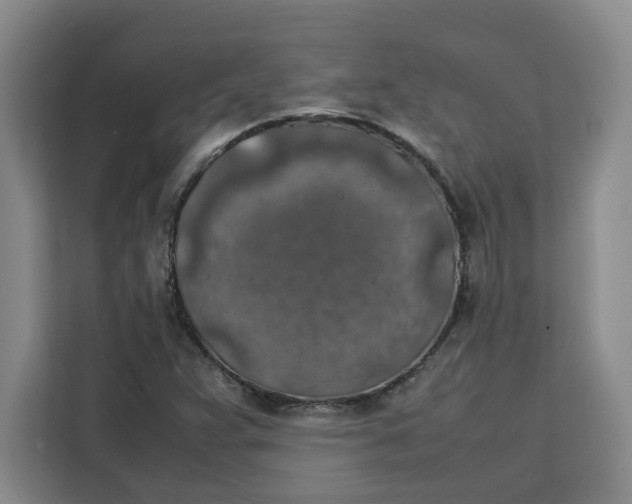 X0000111151359200907141333