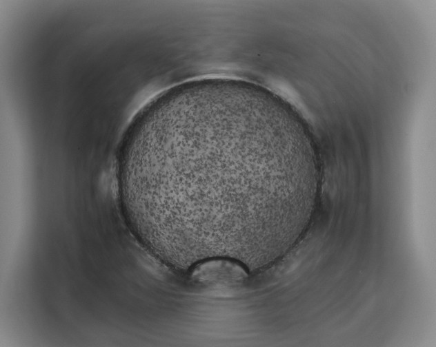 X0000111151360200907141333