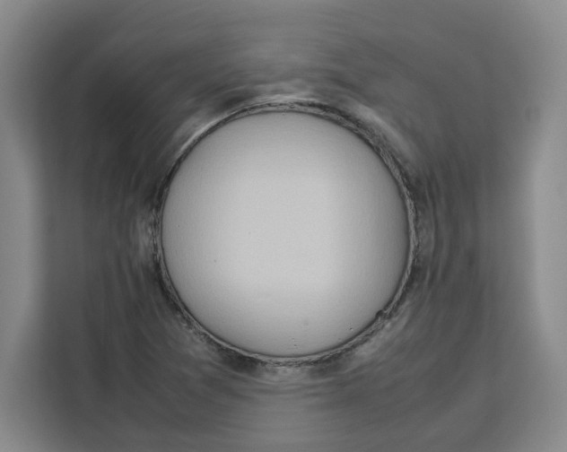 X0000111151361200907141333