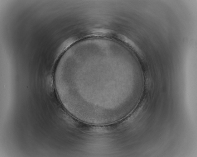 X0000111151362200907141333