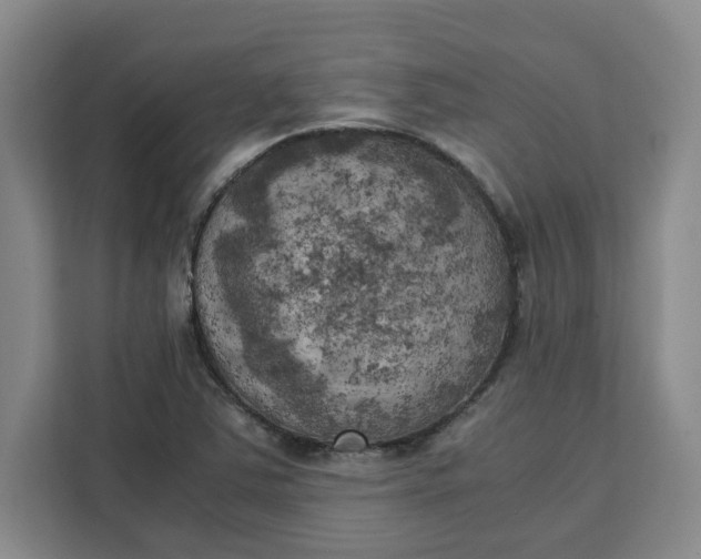 X0000111151363200907141333