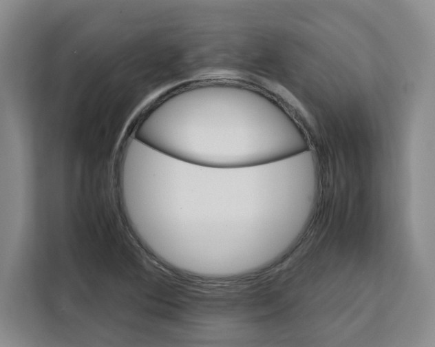 X0000111151364200907141333