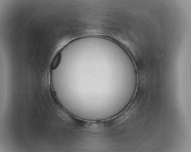 X0000111151365200907141333