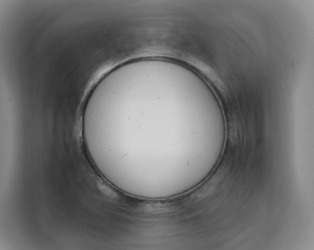 X0000111151366200907141333