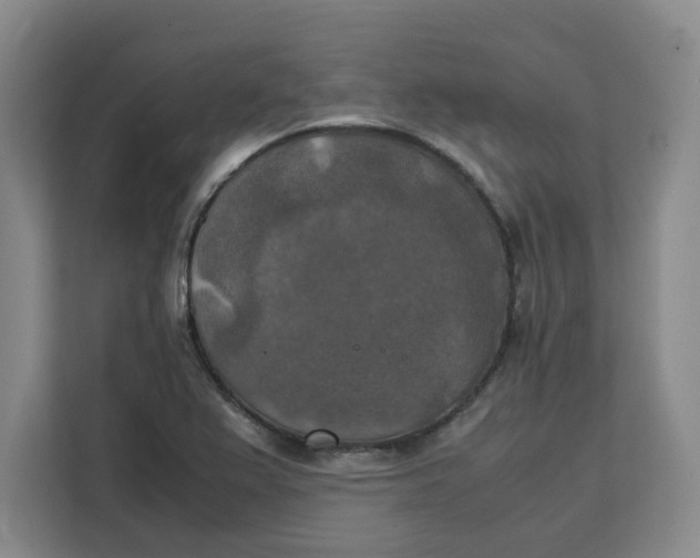 X0000111151367200907141333