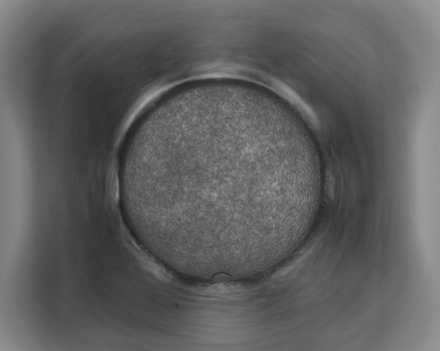 X0000111151368200907141333