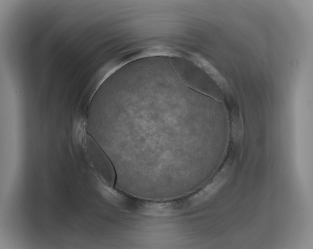 X0000111151369200907141333