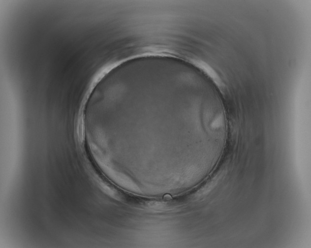 X0000111151371200907141333