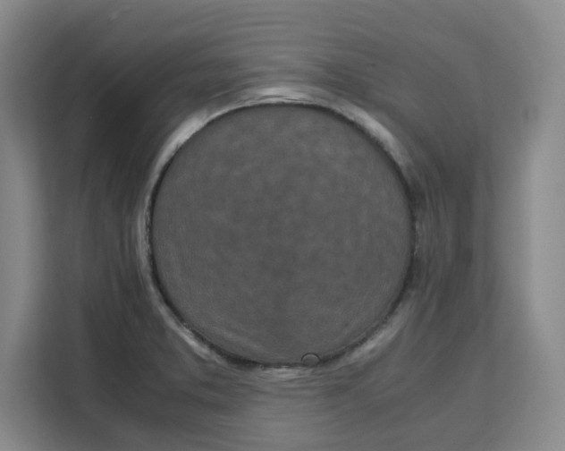 X0000111151373200907141333