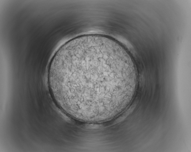 X0000111151374200907141333