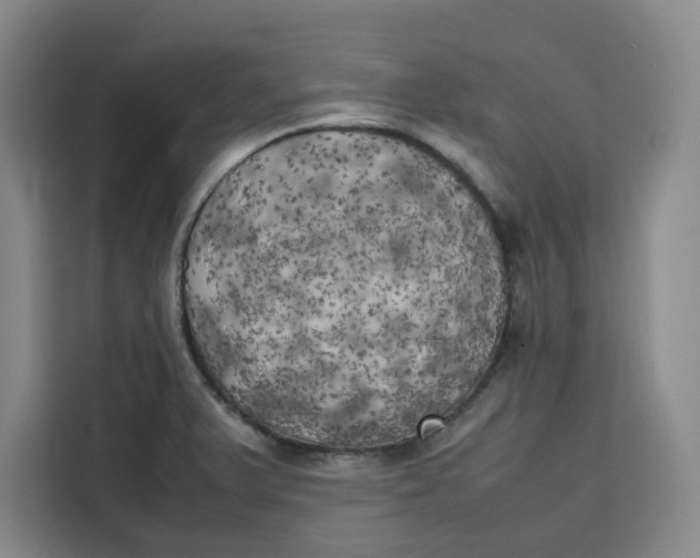 X0000111151375200907141333
