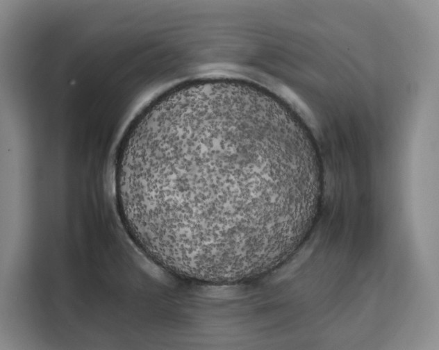 X0000111151376200907141333
