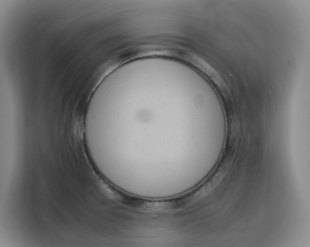 X0000111151377200907141333