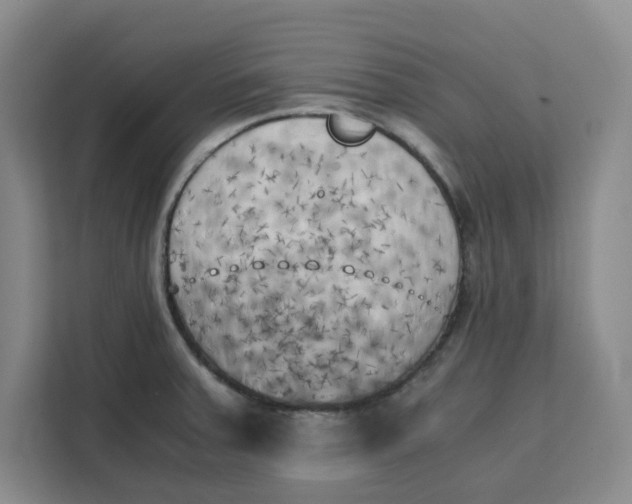 X0000111151379200907141333