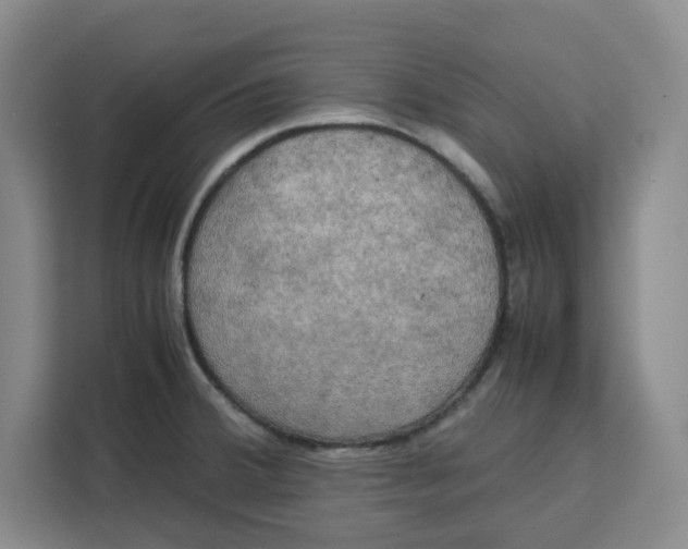 X0000111151380200907141333