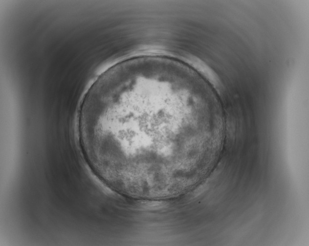 X0000111151382200907141333