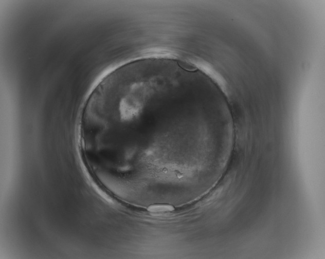X0000111151383200907141333