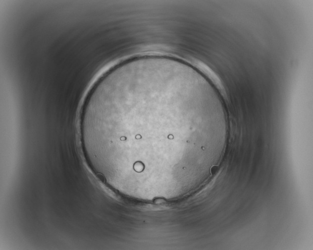 X0000111151384200907141333