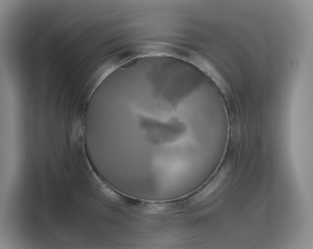 X0000111151385200907141333