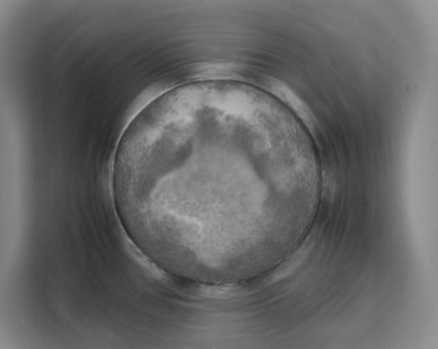 X0000111151386200907141333
