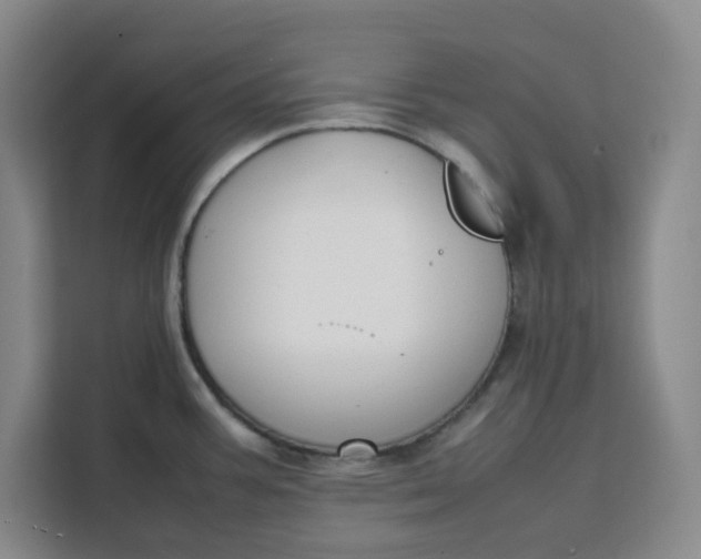 X0000111151387200907141333