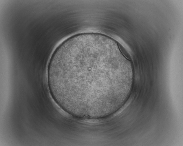 X0000111151388200907141333