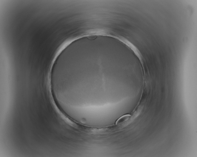 X0000111151389200907141333