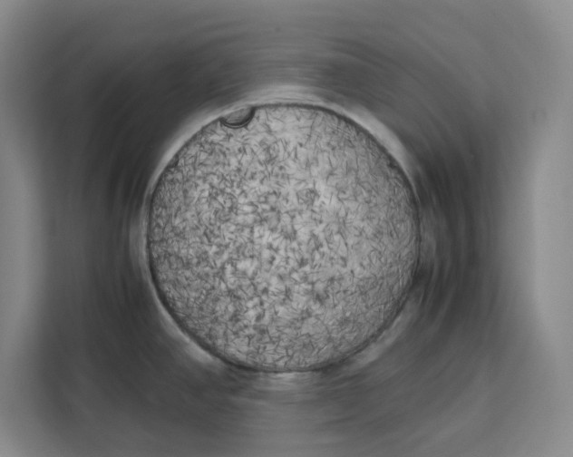 X0000111151390200907141333