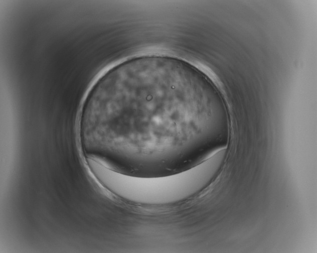 X0000111151392200907141332