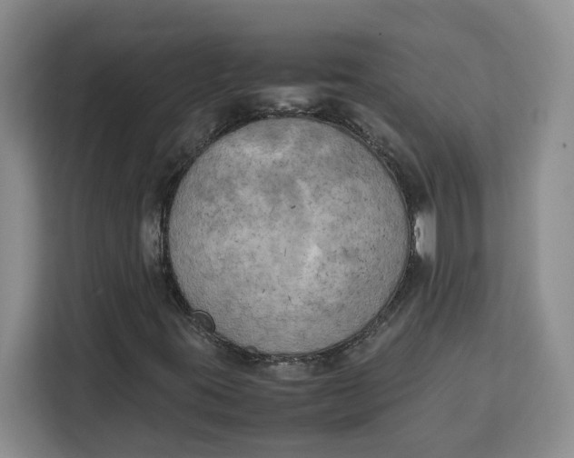 X0000111151395200907141332
