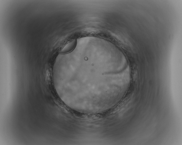 X0000111151397200907141332