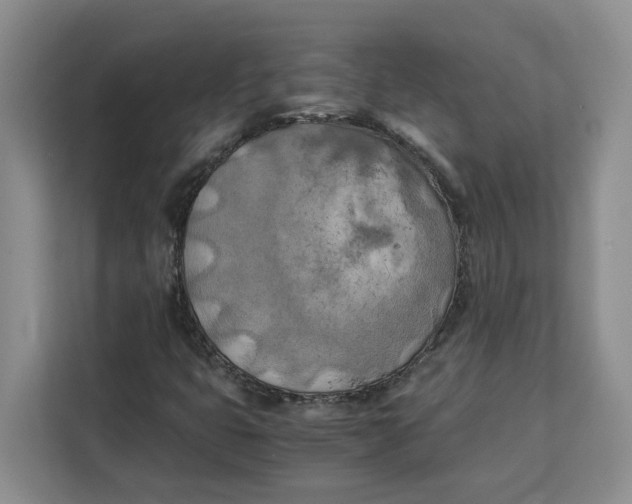 X0000111151399200907141332