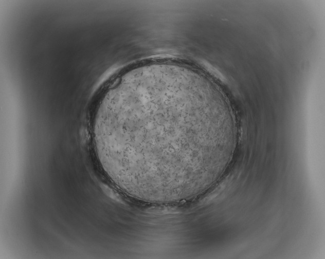X0000111151400200907141332